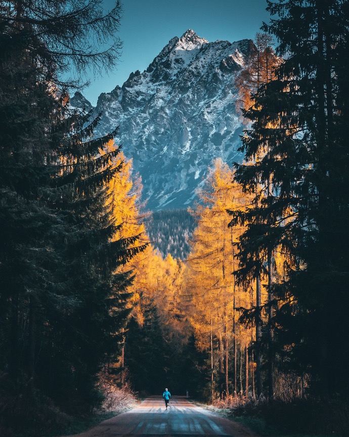 Wald Berge Selbstfindung Wald und Berge